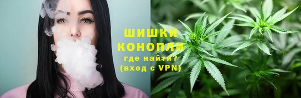 шишки Пролетарск