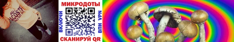 даркнет сайт  Кемь  Псилоцибиновые грибы Psilocybine cubensis 